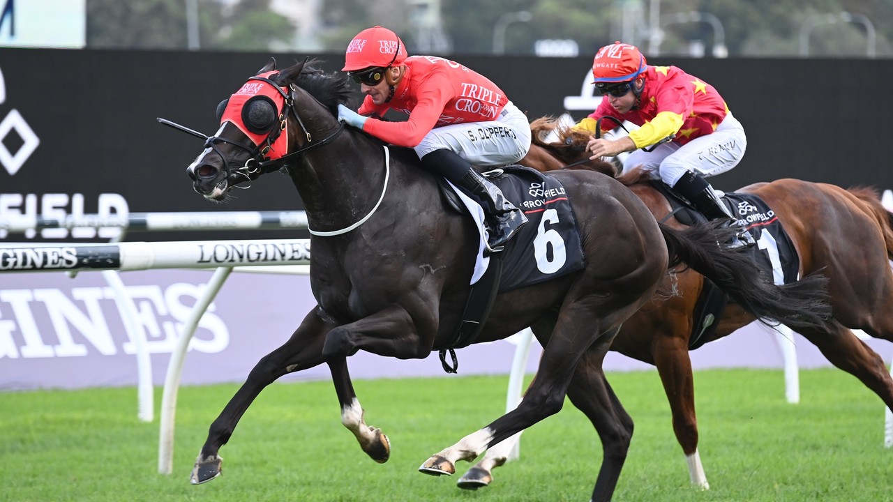 Review: The Shorts Randwick 2022 Image 2